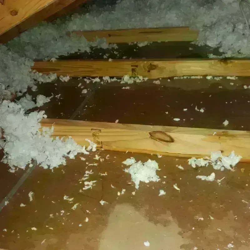 Attic Water Damage in Sheridan, CA