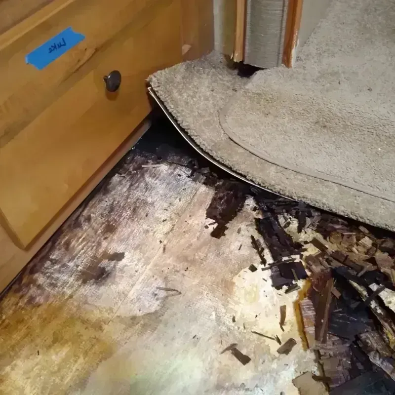 Wood Floor Water Damage in Sheridan, CA